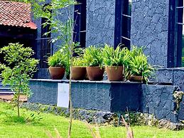 Quinta Tonantzin Hotel Boutique