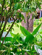 Quinta Tonantzin Hotel Boutique