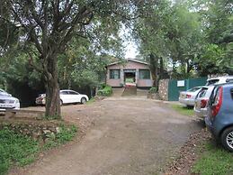Sego Safari Lodge