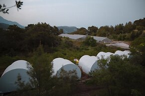 Evergreen Glamping