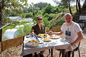 Evergreen Glamping