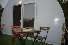 Evergreen Glamping