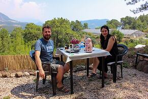 Evergreen Glamping