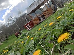 Rustic Wild Retreat IN Romania