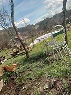 Rustic Wild Retreat IN Romania