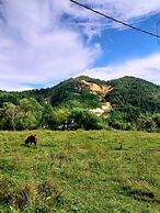 Rustic Wild Retreat IN Romania