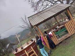 Rustic Wild Retreat IN Romania