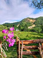 Rustic Wild Retreat IN Romania