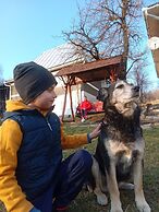 Rustic Wild Retreat IN Romania