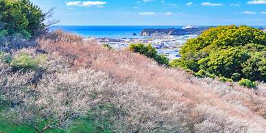Kamenoi Hotel Kii-Tanabe