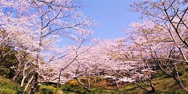 Kamenoi Hotel Kii-Tanabe