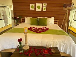 Salterra Glamping