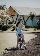 Salterra Glamping