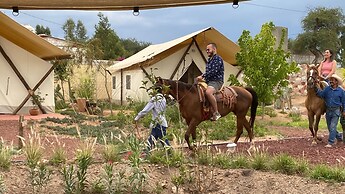 Salterra Glamping