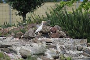 Salterra Glamping