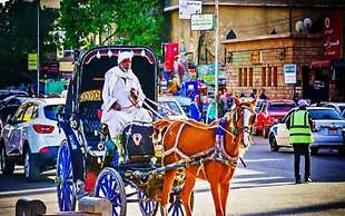 Luxor Nile Cruises