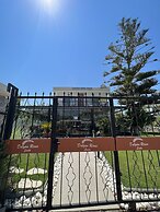 Dalyan Risus Suite