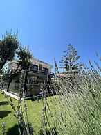 Dalyan Risus Suite