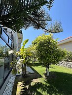 Dalyan Risus Suite