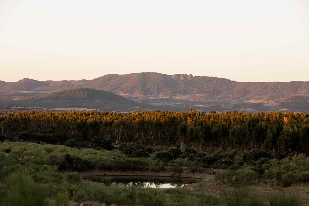 Herdade dos Abegões