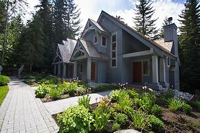 23 Treeline