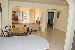 CARNATION 156