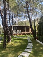 Mossa Afkule