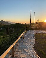Ora Dag Evleri