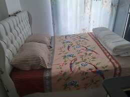 Cosy Studio Apartment Long & Short Term