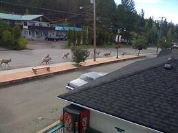 Apple Tree Inn