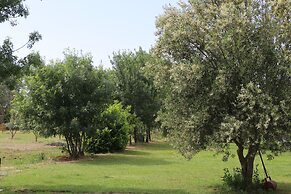Mas Des Cerisiers