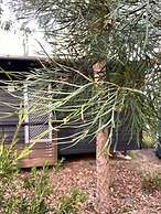Redrock Retreat