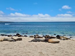 Hotel Indigo Galapagos by IHG