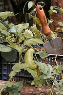 Kapok Bacalar – Plant Based Hotel