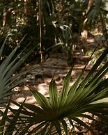 Kapok Bacalar – Plant Based Hotel