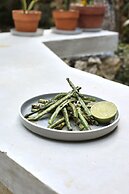 Kapok Bacalar – Plant Based Hotel