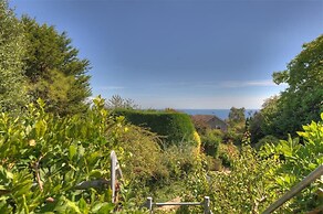 Little West Hill Studio