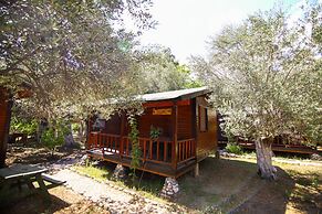Endemik Bungalov