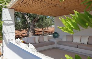 TD Casa Lul Panoramic Pool Over Mediterranean Scrub