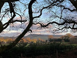 Treetops