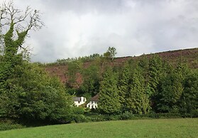 Barn Owl Cottage
