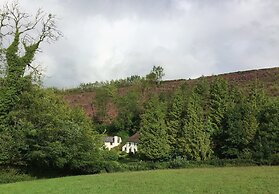 Hedgehog Cottage