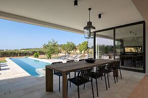 Citrus Grove