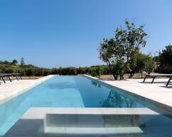 Citrus Grove