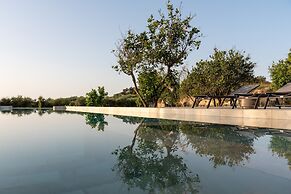 Citrus Grove