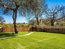 Woodland View