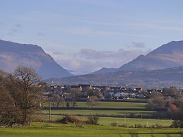 Dolwaenydd