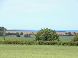 Spinney's Den