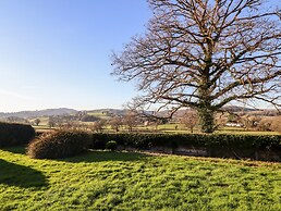 Berwyn View