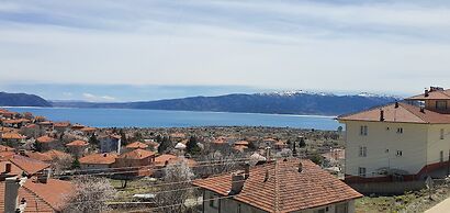 Fİ SALDA